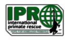 International Primate Rescue